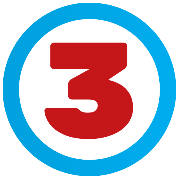 אייקון התאמה אישית אנלין שירותי תרגום